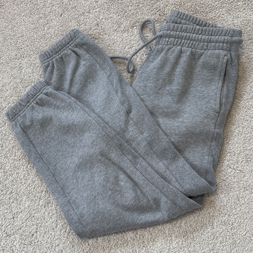 TNA Aritzia Cozy Fleece Jogger Sweatpants Heathered Grey 26" SzXS